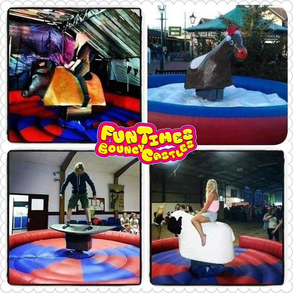 Rodeo Bull Hire Rodeo Bull Hire