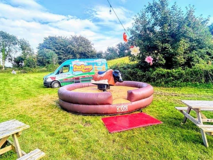 Bucking Bronco Bucking Bronco
